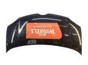 Motorhaube Haube Schwarz TEGNE RENAULT TWINGO III (BCM) 1.0 SCE 70 51 KW 651006384R 651226807R