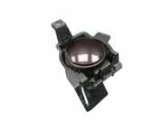 Nebelscheinwerferkappe rechts Whisper Red (ERU) DS DS3 1.2 VTI 82 60 KW 9814808777