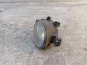 Nebelscheinwerfer links RENAULT CLIO III (BR0/1, CR0/1) 1.2 16V 55 KW 8200002469