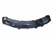 Windlauf Motorhaube Front MERCEDES M-KLASSE (W164) ML 05-08 225 KW 1648800205
