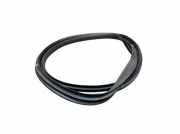 Dichtung Türrahmen Einstieg links hinten MERCEDES B-KLASSE W246 B 180 CDI 80 KW A2466920176