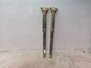 Stoßdämpfersatz Hinterachse FORD FOCUS C-MAX 1.6 74 KW 313291