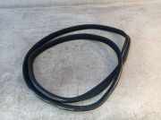 Dichtung Türrahmen Einstieg links hinten MERCEDES C-KLASSE W204 C 200 CDI 100 KW A2046970151