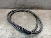 Dichtung Türrahmen Einstieg vorne links DS DS3 1.2 VTI 82 60 KW