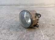 Nebelscheinwerfer rechts RENAULT SCENIC II (JM0/1) 1.6 83 KW 8200074008