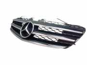 Kühlergrill Grill Frontgrill Obsidianschwarz 197 MERCEDES R-KLASSE V251, W251 320 CDI 4MATIC L 165 KW A2518880423