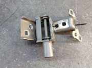 Türscharnier vorne rechts Set 2-teilig Beige HNK RENAULT MODUS/GRAND MODUS (F/JP0) 1.2 16V 55 KW