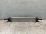 Ladeluftkühler AUDI A4 AVANT (8K5, B8) 2.0 TFSI 132 KW 8K0145805G