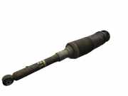 Federbein Stoßdämpfer links hinten ABC MERCEDES-BENZ S-KLASSE (W220) S 600 270 KW A2203206713