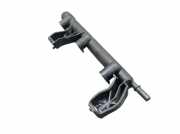 Einspritzleitung Einspritzleiste CITROEN C3 III 1.2 PURETECH 82 61 KW 9816955780