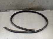 Dichtung für Heckklappe rechts DACIA SANDERO II STEPWAY TCE 90 66 KW