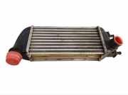 Ladeluftkühler FIAT 500 (312) 1.3 D MULTIJET 55 KW 878350000