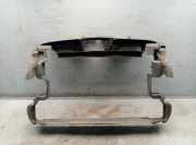 Frontmaske Frontbelch MERCEDES-BENZ A-KLASSE W169 A 160 CDI 60 KW A1698170220