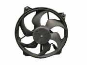 Elektromotor, Kühlerlüfter PEUGEOT 307 CC 3B 2.0 16V 100 KW