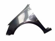 Kotflügel links Gris Eclipse (TEB66) RENAULT CLIO III (BR0/1, CR0/1) 1.2 16V 55 KW 8200256117