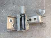 Türscharnier vorne links Set 2-teilig Beige HNK RENAULT MODUS/GRAND MODUS (F/JP0) 1.2 16V 55 KW