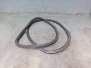 Dichtung Türrahmen Einstieg links hinten VW GOLF PLUS (521, 5M1) 1.9 TDI 77 KW 5M0867913D