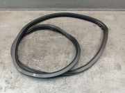 Dichtung Türrahmen Einstieg links hinten VW POLO (6C1, 6R1) 1.4 63 KW 6R6867911B