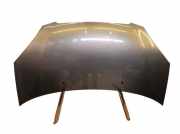 Motorhaube Haube Titanium Silber (IM) KIA PICANTO (SA) 1.1 48 KW