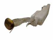 Behälter Scheibenwaschanlage Wischwasserbehälter RENAULT CLIO III (BR0/1, CR0/1) 1.2 16V 55 KW 8200311199