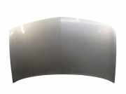 Motorhaube Haube Gris Platine (Ted69) RENAULT MEGANE II COUPÉ-CABRIOLET (EM0/1) 1.6 83 KW