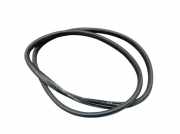 Dichtung Türrahmen Einstieg links hinten RENAULT GRAND SCÉNIC III (JZ0/1) 1.9 DCI 96 KW