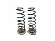 Federnsatz Hinterachse RENAULT MEGANE IV GRANDTOUR (K9A/M) 1.5 DCI 110 81 KW