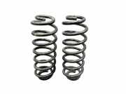 Federnsatz Hinterachse BMW 5 E39 525D 120 KW