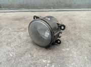 Nebelscheinwerfer links CITROEN C4 I (LC) 1.6 16V 80 KW 9650001680
