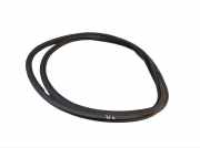 Dichtung Türrahmen Einstieg vorne links PORSCHE MACAN S 95B DIESEL 190 KW 95B831721