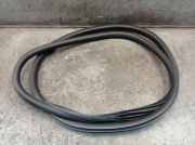 Dichtung Türrahmen Einstieg vorne rechts DS DS3 1.2 VTI 82 60 KW