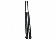 Gasfeder, Motorhaube Gasdruckdämpfer Motorhaubenscharnier rechts, links BMW 3 TOURING (E91) 318D LCI 08-12 105 KW 7129190