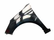 Kotflügel links Black Diamond (FR) HYUNDAI I20 (PB, PBT) 1.2 57 KW