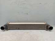 Ladeluftkühler MERCEDES A-KLASSE (W169) A160 CDI 60 KW A1695000000
