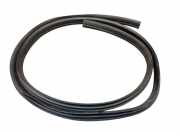 Dichtung Türrahmen Einstieg vorne links FORD GRAND C-MAX 1.5 ECOBOOST 110 KW