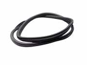 Dichtung Türrahmen Einstieg links hinten RENAULT SCENIC III (JZ0/1) 1.2 TCE 85 KW