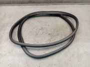 Dichtung Türrahmen Einstieg links hinten MAZDA 3 (BM, BN) 2.0 88 KW 1705090759
