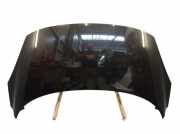 Motorhaube Haube schwarz (NV676) RENAULT GRAND SCÉNIC III (JZ0/1) 1.9 DCI 96 KW
