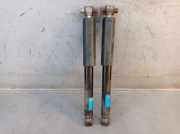 Stoßdämpfersatz Hinterachse FORD FOCUS II TURNIER (DA, DS, FFS) 1.6 TI 85 KW 313295