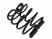 Federnsatz Hinterachse RENAULT CLIO III (BR0/1, CR0/1) 1.2 16V 55 KW