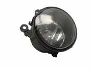 Nebelscheinwerfer rechts RENAULT LAGUNA III GRANDTOUR (KT0/1) 2.0 DCI 127 KW 8200074008