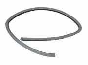 Dichtung Türrahmen Einstieg rechts hinten KIA PICANTO (SA) 1.1 48 KW