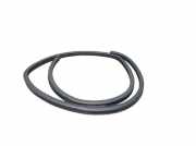Dichtung Türrahmen Einstieg links hinten NISSAN NOTE (E12) 1.2 59 KW