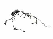 Kabel Tür vorne links MERCEDES B-KLASSE W246 B 200 CDI 100 KW A2465409807