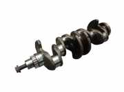 Kurbelwelle CAYC SKODA FABIA II COMBI (545) 1.6 TDI 77 KW 03L105021A