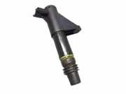 Zündspule RENAULT LAGUNA 2 II BG0/1 V6 24V 152 KW 215951855