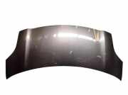 Motorhaube Haube Grau 1G3 TOYOTA YARIS XP9 1.0 VVT-I 51 KW