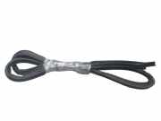 Dichtung, Koffer-/Laderaumklappe RENAULT MODUS (F/JP0_) 1.4 04-08 72 KW