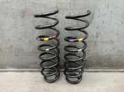 Federnsatz Hinterachse RENAULT MEGANE IV GRANDTOUR (K9A/M) 1.2 TCE 100 74 KW