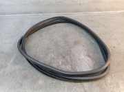 Dichtung Türrahmen Einstieg vorne links SUZUKI SWIFT V (AZ) 1.2 66 KW 1906270036